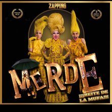 ZAPPING MERDE